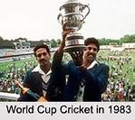 Image result for Cricket World Cup Fans