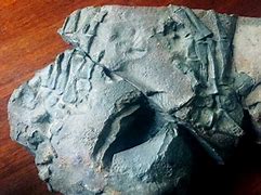 Image result for $600 Million Year Old Artifact