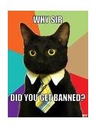 Image result for Cat Meme Maker