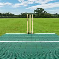 Image result for A Cricket Pitch