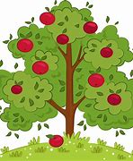 Image result for Baby Apple Tree Leaves