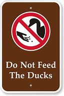 Image result for Do Not Feed the Ducks Sign