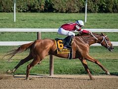 Image result for Race Horse and Jockey