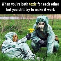 Image result for Anti Toxic Meme