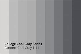 Image result for Cool Gray 5