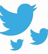 Image result for Twitter Profile