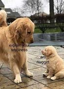 Image result for Golden Retriever Boyfriend Meme