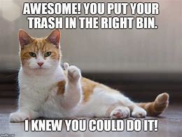 Image result for Trash Cat Memes