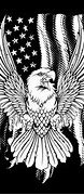 Image result for American Flag with Eagle