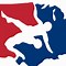 Image result for Wrestling Eagle Logo Blue