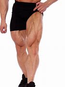 Image result for Men Calf Muscle