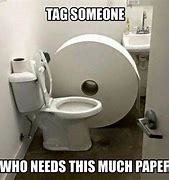 Image result for Toilet Paper Meme