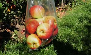 Image result for Apple Plastic Bags