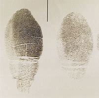 Image result for Parts of Fingerprint