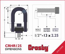 Image result for Crosby Swivel Hoist Ring Catalog