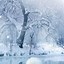 Image result for Download Winter Picture