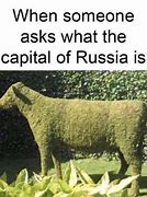 Image result for Russian Cow Meme