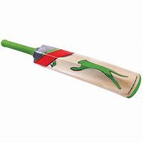 Image result for Hofner Cricket Bat