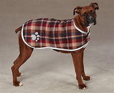 Image result for Dog Lab Coat