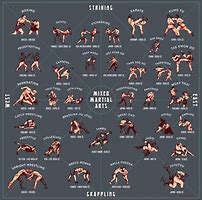 Image result for Types of Fighting Styles