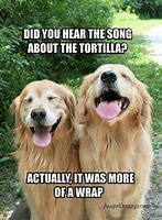 Image result for Funny Dad Jokes