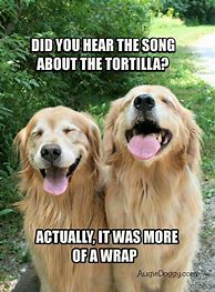 Image result for father joke about animal