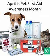 Image result for Pets & Pet Supplies