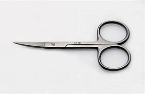 Image result for Surgery Scissors