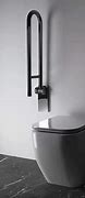 Image result for Chrome Toilet Handle