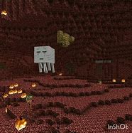 Image result for Nether Memes