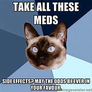 Image result for Funny Drug Cat Memes