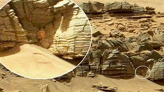 Image result for Evidence of Past Life On Mars