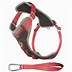 Image result for Best No Pull Dog Harness