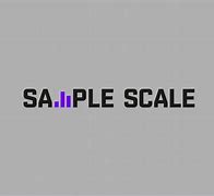 Image result for Fraud Scale
