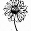 Image result for Black and White Daisy Flower Drawing
