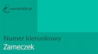 Image result for co_to_za_zameczek