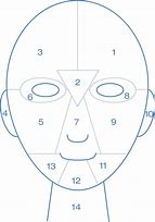 Image result for Face Body Map