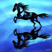 Image result for Pretty Shire Horse