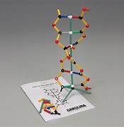 Image result for Color DNA for Kids