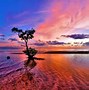 Image result for Colorful Beach Background
