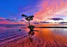 Image result for Colorful Sunset