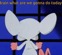 Image result for Pinky and the Brain Love