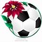 Image result for Soccer Ball Ornament
