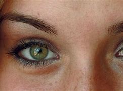 Image result for Sharp Eyes Meaning