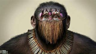 Image result for Apes Boning