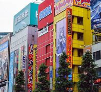 Image result for Yodobashi Camera Akihabara