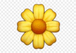 Image result for iPhone Yellow Flower Emoji