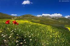 web castelluccio di norcia castelluccio di norcia menefoto web castelluccio di norcia castelluccio di norcia menefoto