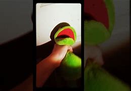 Image result for Kermit Dying