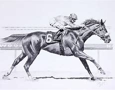 Image result for Horse Racing Drawing